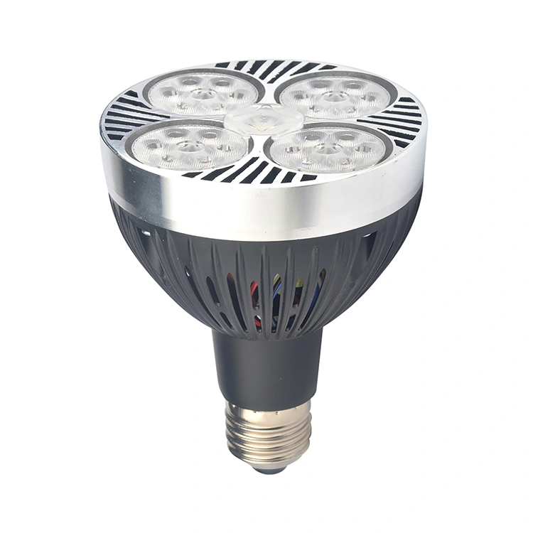 Spotlights Sanan Chip Par30